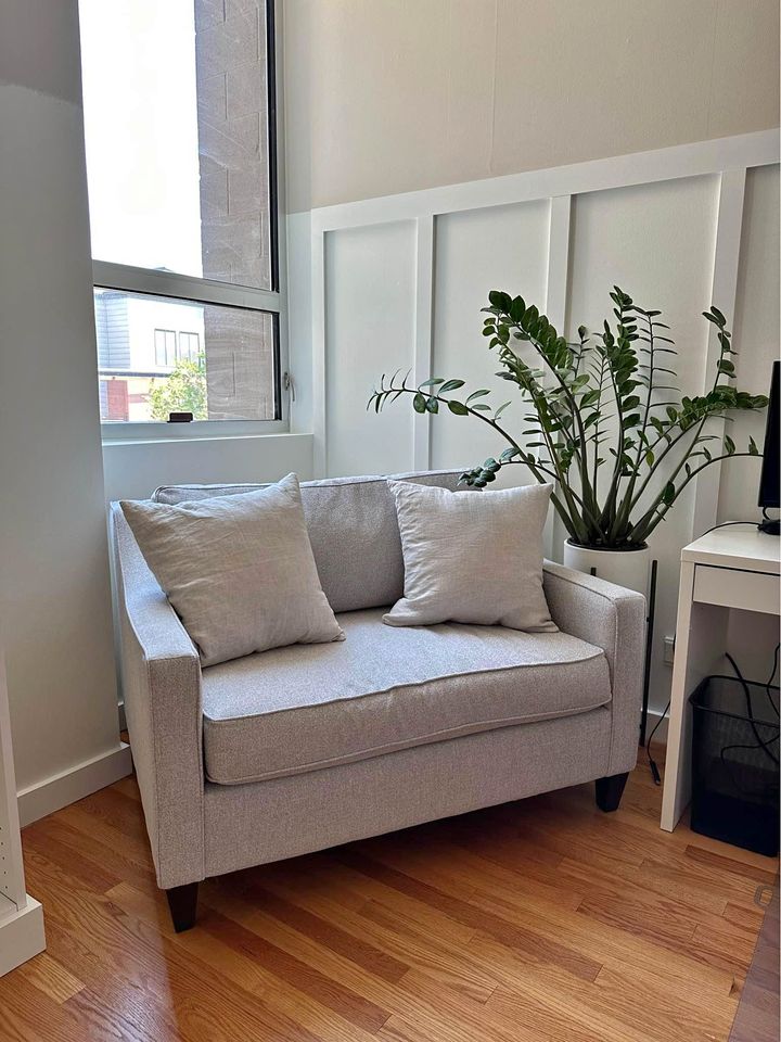 West Elm Paidge Sleeper Sofa Reviews Matttroy