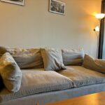 West Elm Harmony Sofa