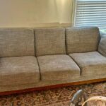 Article sofa couch